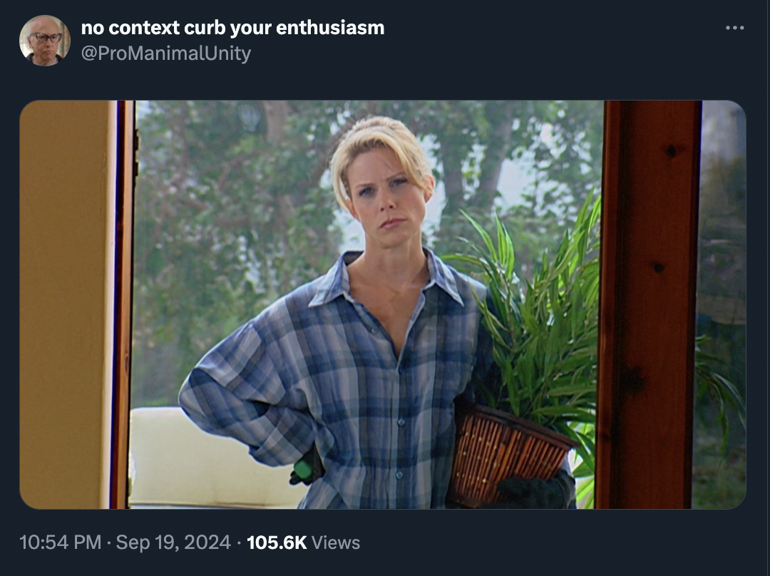 screenshot - no context curb your enthusiasm Views